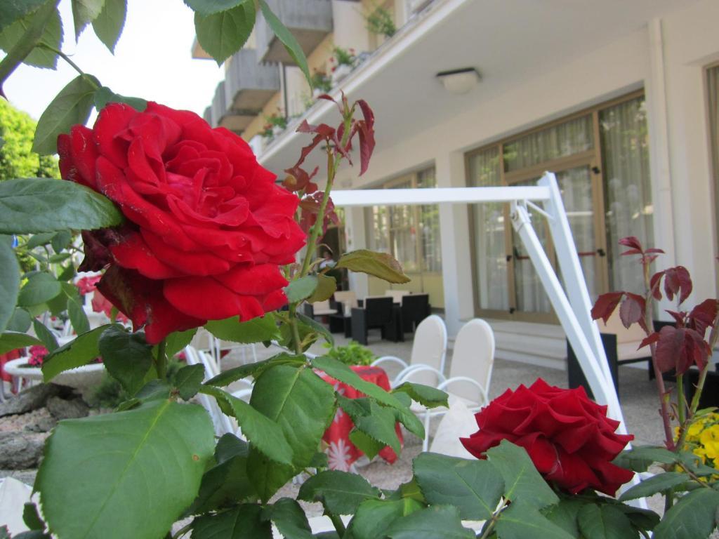 Hotel Garden Bellaria-Igea Marina Luaran gambar